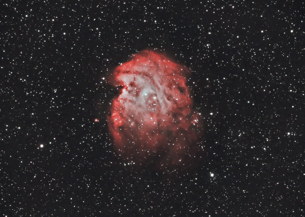Туманность Голова Обезьяны - NGC 2174 - астрофотография
