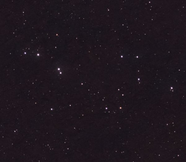 The asterism of the Dog - Astrophotography