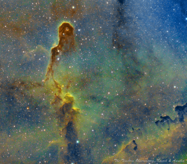 The IC1396 nebula in Cepheus - астрофотография