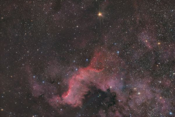 NGC7000 - Astrophotography