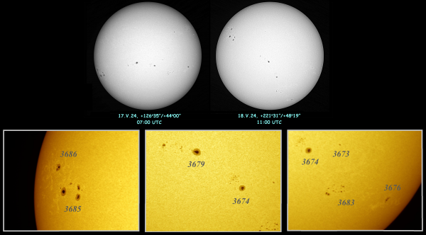 Активность Солнца во время АФ-2024 - астрофотография