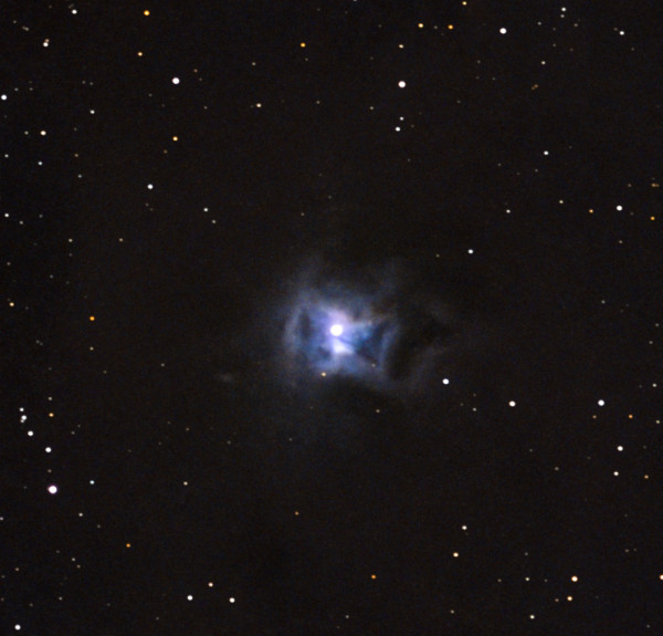 NGC 7023 (Iris Nebula) - Astrophotography