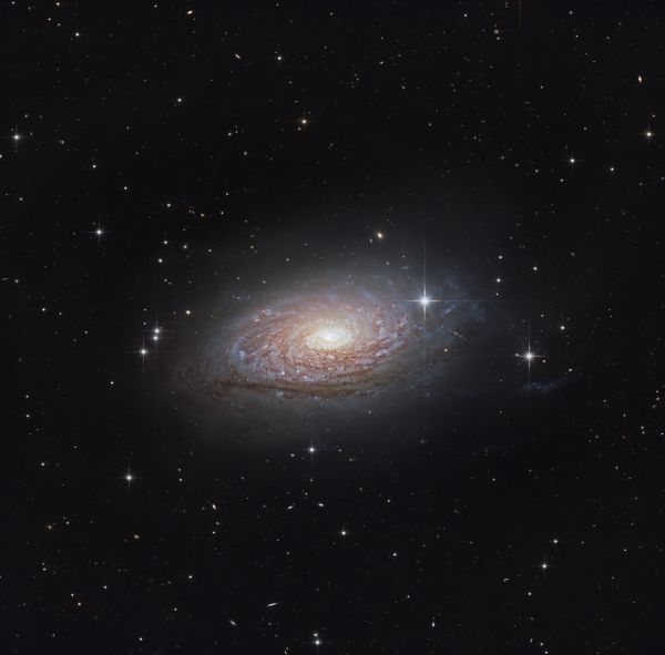 Галактика Подсолнух M63 - астрофотография