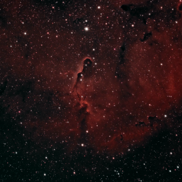 IC 1396 (Туманность Хобот слона) - астрофотография