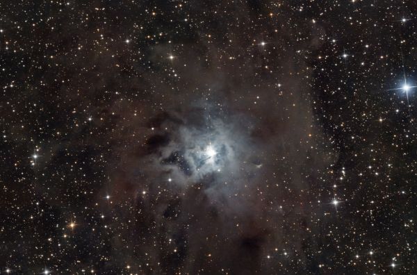 NGC7023 Iris - Astrophotography