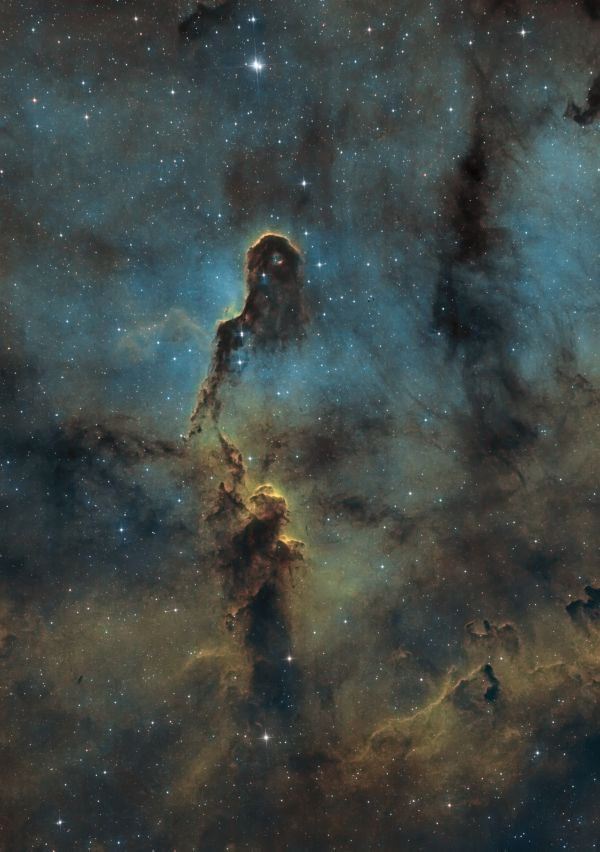 IC1396 Elephant's Trunk - Astrophotography