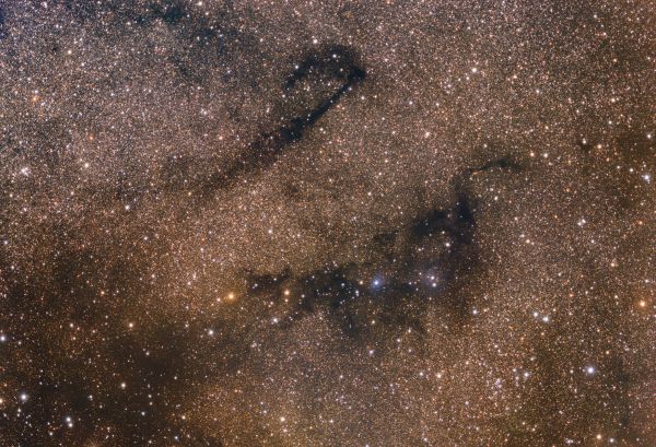 Несси, трость и NGC 6793 - астрофотография