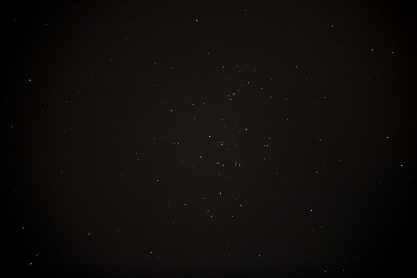 M44 (рассеянное звёздное скопление Улей/Ясли) - астрофотография