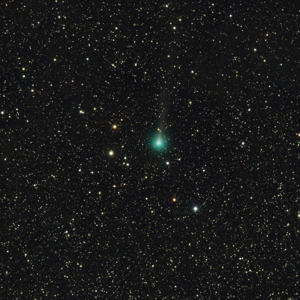 C/2019 Y1 (ATLAS) 23.04.2020 - астрофотография