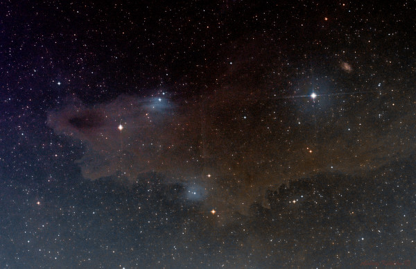 Shark (vdB 150)  19.03.2026 - Astrophotography