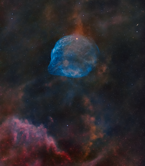 SH2-308 Dolphin Head Nebula - астрофотография