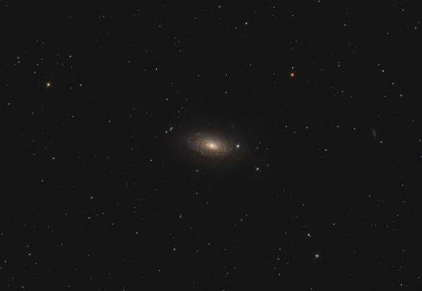 M 64 Галактика Подсолнух - астрофотография