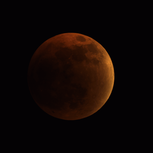 GIF of the lunar eclipse at maximum phase - Astrophotography