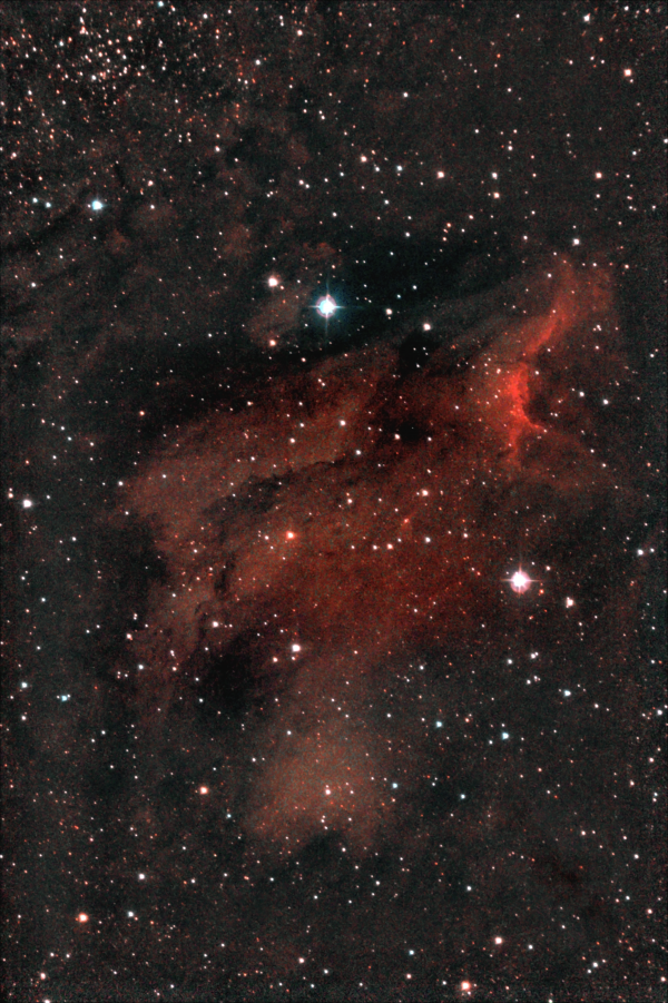 Эмиссионная туманность Пеликан созвездия Лебедя. IC 5070. 12-13.05.2023 - астрофотография
