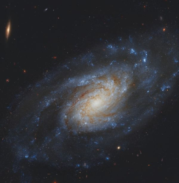NGC 3370 - Astrophotography