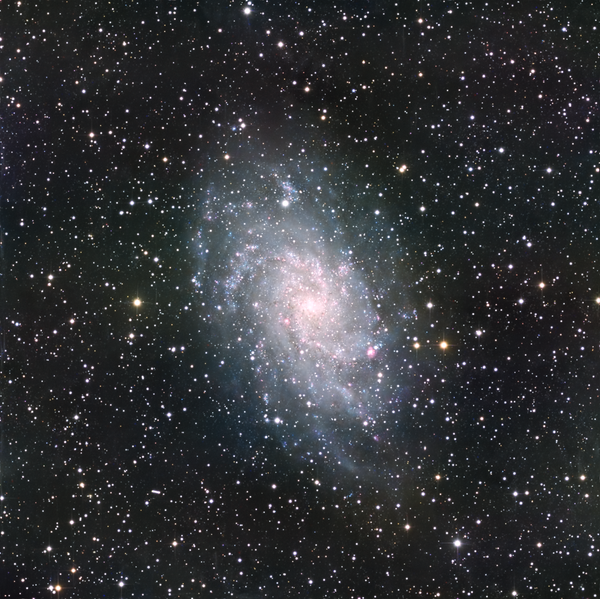 M33