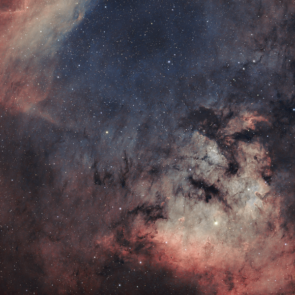 Sh2 171 "Teddy Bear"