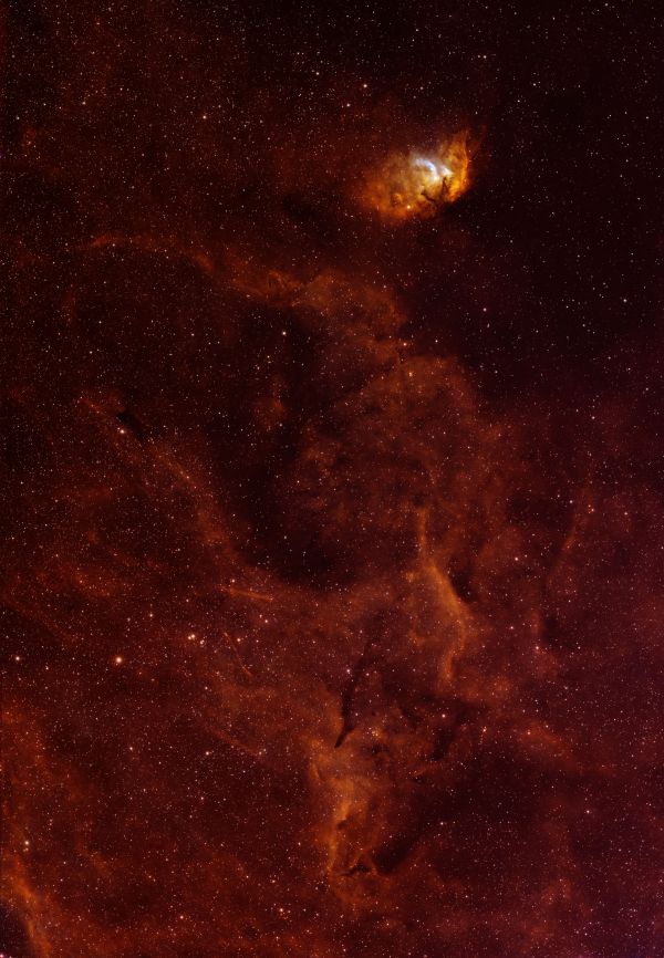 Туманность Sh2-101 Тюльпан  - астрофотография