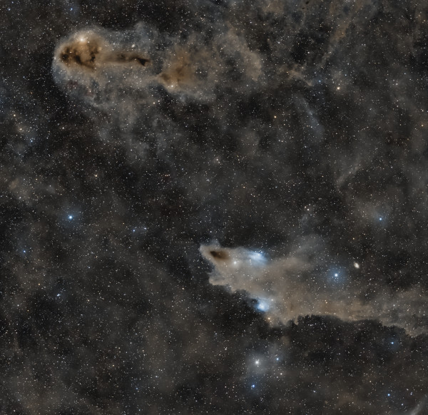 Shark (LDN 1253) vs dead fish (LDN 1251) - Astrophotography