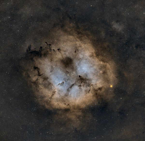 IC1396 