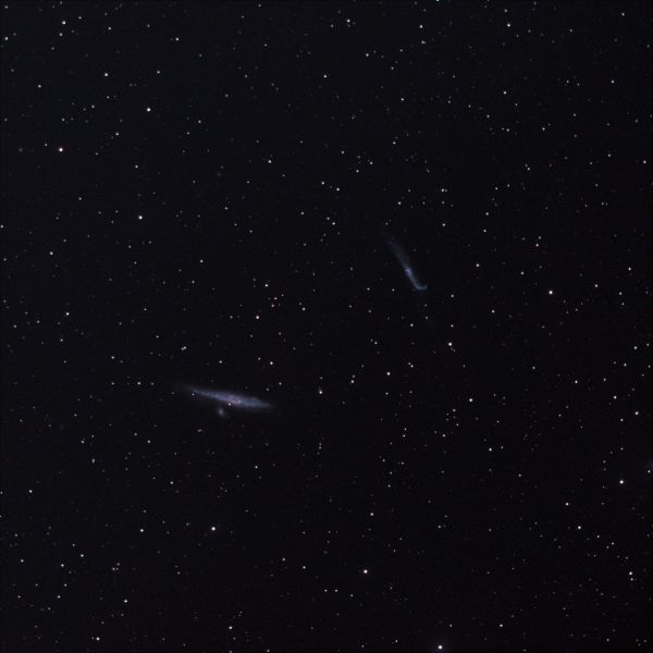 Галактики кита и хоккейной клюшки на SW 1025 f5 - астрофотография
