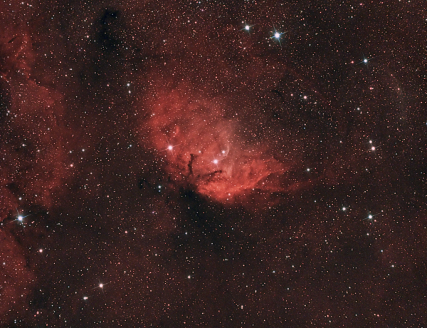 Туманность Тюльпан (Sh2-101) - астрофотография