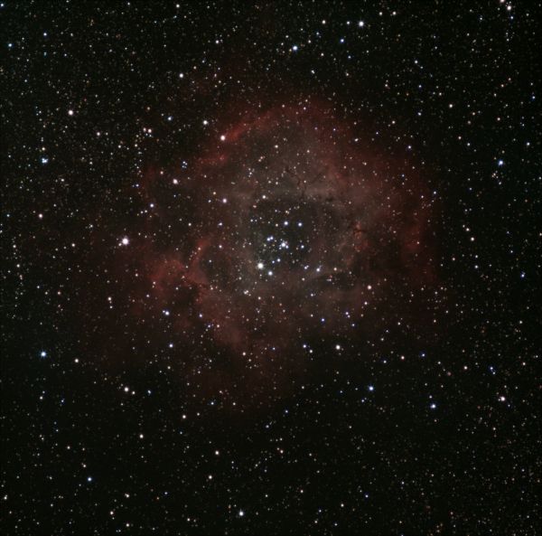 NGC 2244 - Розетка - астрофотография