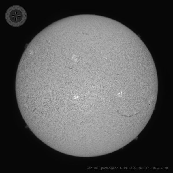Sun (chromosphere) 23.03.2026 13:16 UTC+05 - Astrophotography