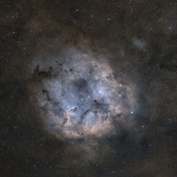 IC1396 