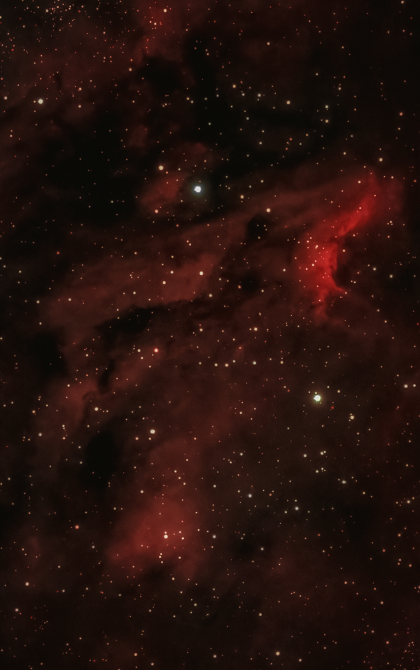 Pelican Nebula IC 5070 in the constellation Cygnus - Astrophotography