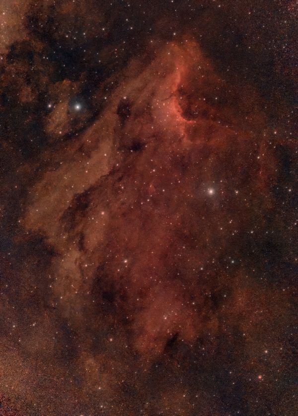 Pelican - Astrophotography