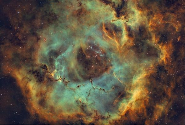 NGC2264 - Rosette V2 (SHO) - Astrophotography