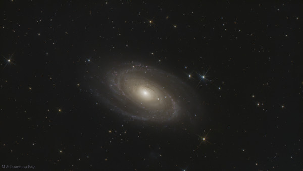 M-81 Bode's Galaxy. - Astrophotography