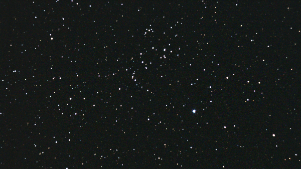 NGC-6633 - астрофотография