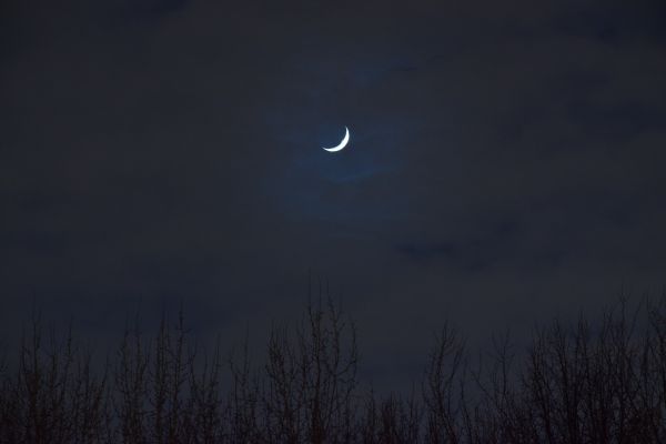 Февральская Луна над парком 04.02.22 - астрофотография