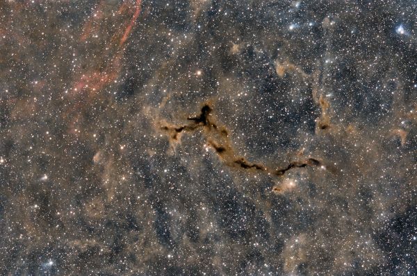 Seahorse Nebula - Astrophotography