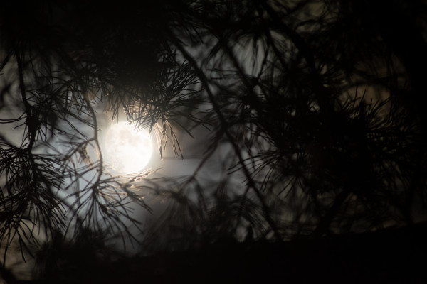Moon HDR - Astrophotography