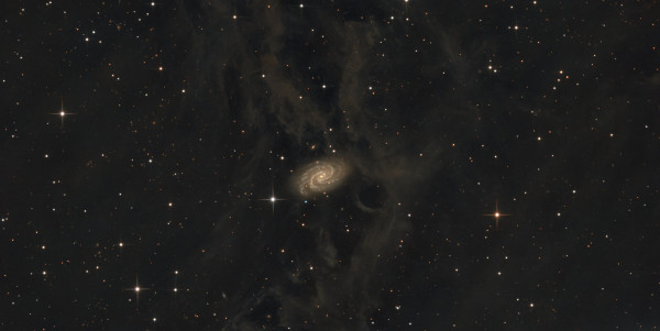NGC 918