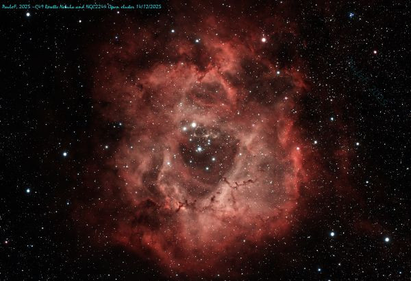 C49 - Rosette Nebula - Astrophotography