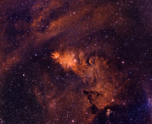 Туманность Лисий мех (она же Шишка) - астрофотография