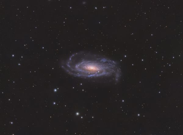 NGC5033 Water Bug Galaxy - Astrophotography