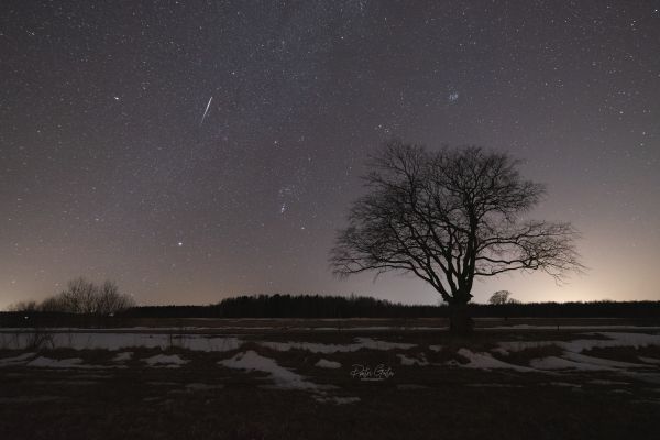 Sirius, Orion, Pleiades & meteor - астрофотография