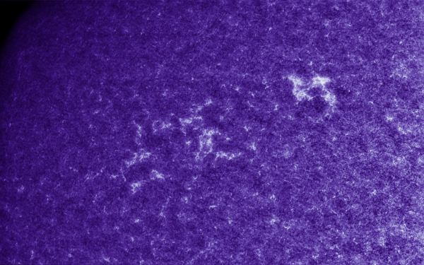 2020.10.25 Sun CaK (color) - астрофотография