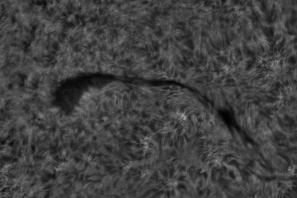 2020.10.26 Sun filament H-Alpha - астрофотография