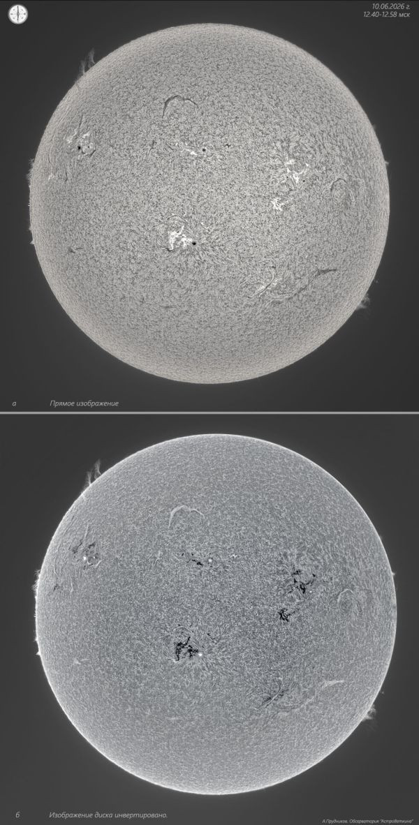 Panorama of the solar chromosphere on June 10, 2026. - Astrophotography