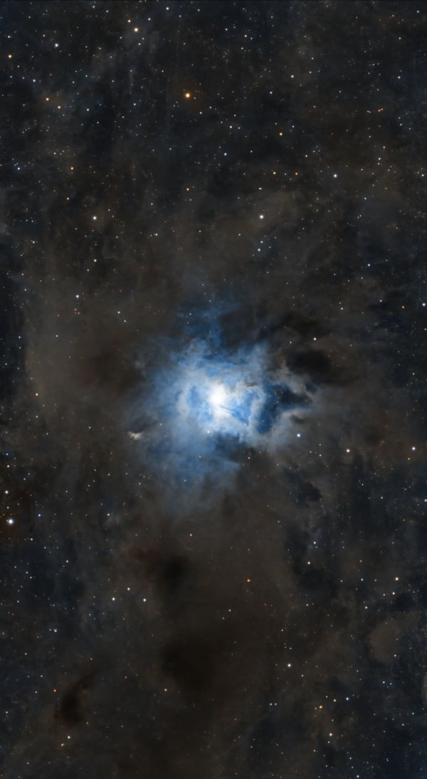Caldwell 4 - Iris Nebula - Astrophotography