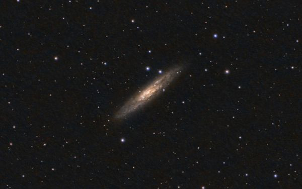 Sculptor Galaxy - Astrophotography