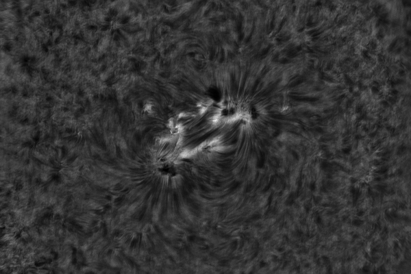 2020.10.26 Sun AR12778 H-Alpha - астрофотография