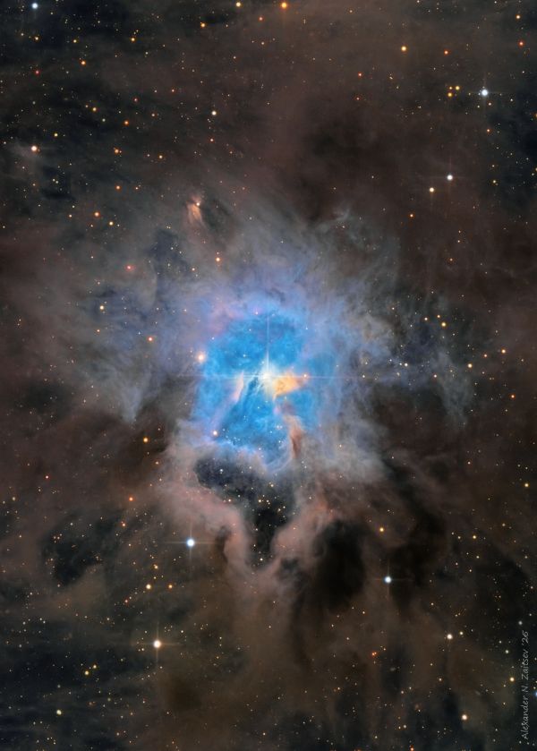 NGC 7023 (Iris) in LRGB filters - Astrophotography