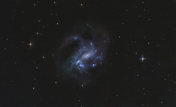 NGC 4395 - Astrophotography